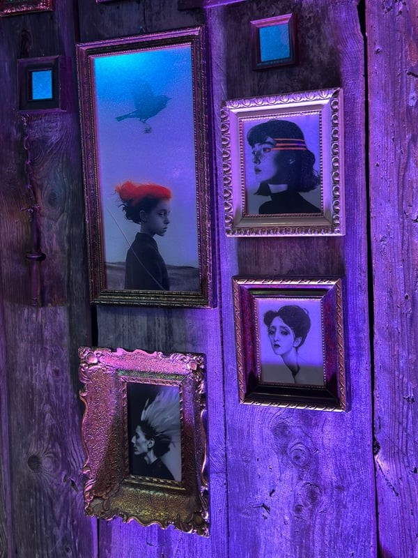 Alija Kamber, visual art exhibition, Dvonoćje